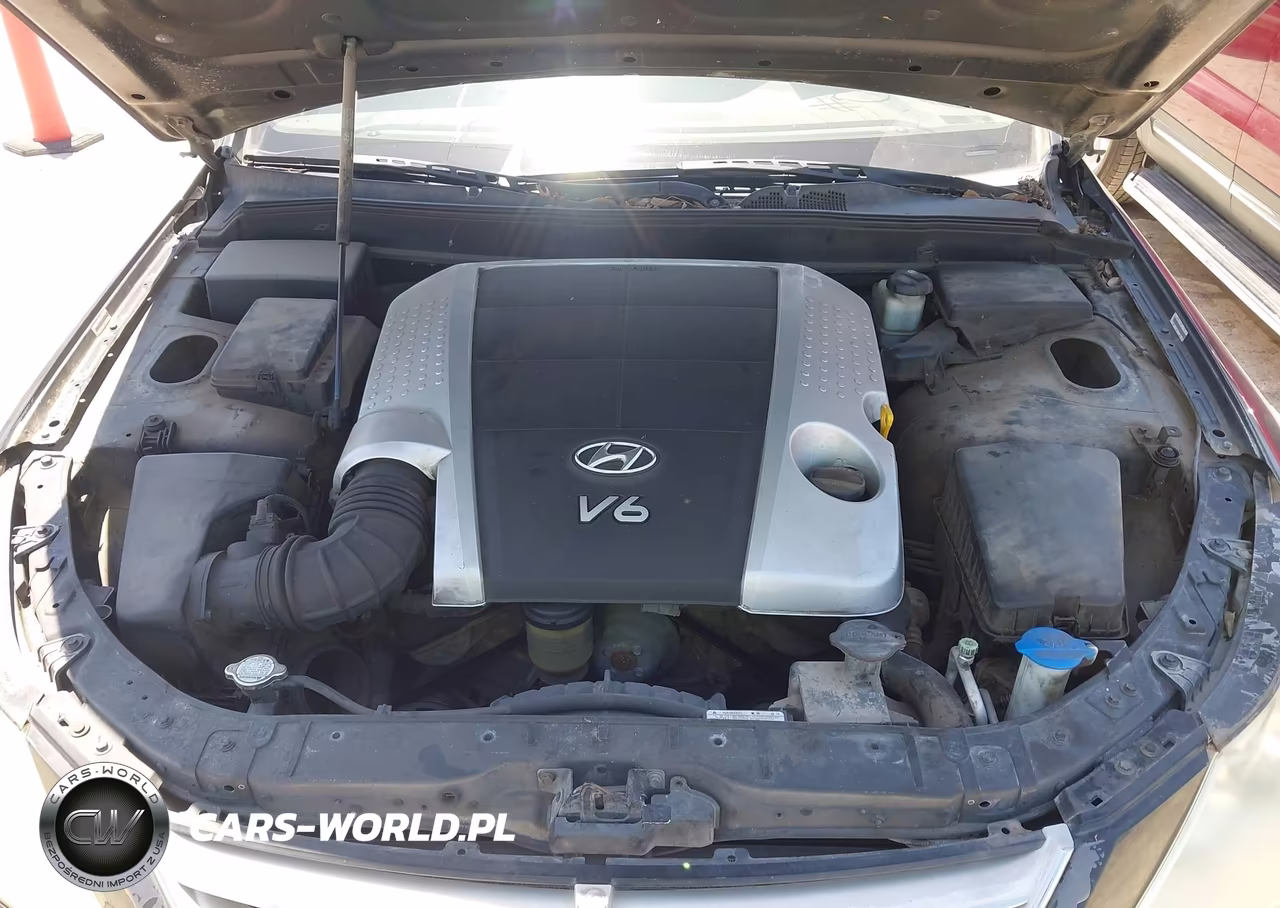 2009 Hyundai Genesis 3.8 VIN:KMHGC46E69U032873 - 10