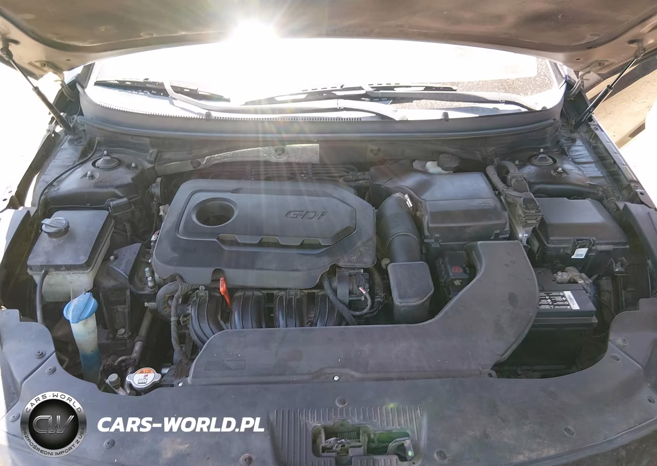 2015 Hyundai Sonata Se VIN:5NPE24AFXFH125562 - 10