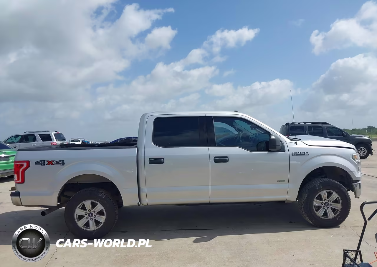 2016 Ford F-150 King Ranch-Lariat-Limited-Platinum-Xl-Xlt VIN:1FTEW1EG3GKE76712 - 13