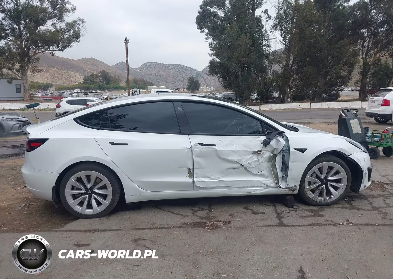 2021 Tesla Model 3 Standard Range Plus Rear-Wheel Drive VIN:5YJ3E1EA7MF099042 - 13