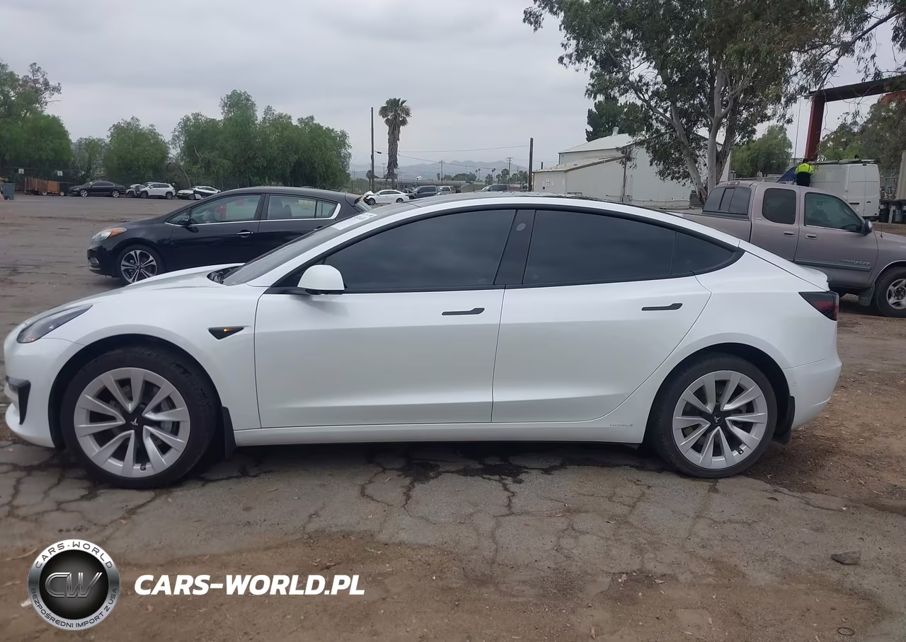 2021 Tesla Model 3 Standard Range Plus Rear-Wheel Drive VIN:5YJ3E1EA7MF099042 - 14