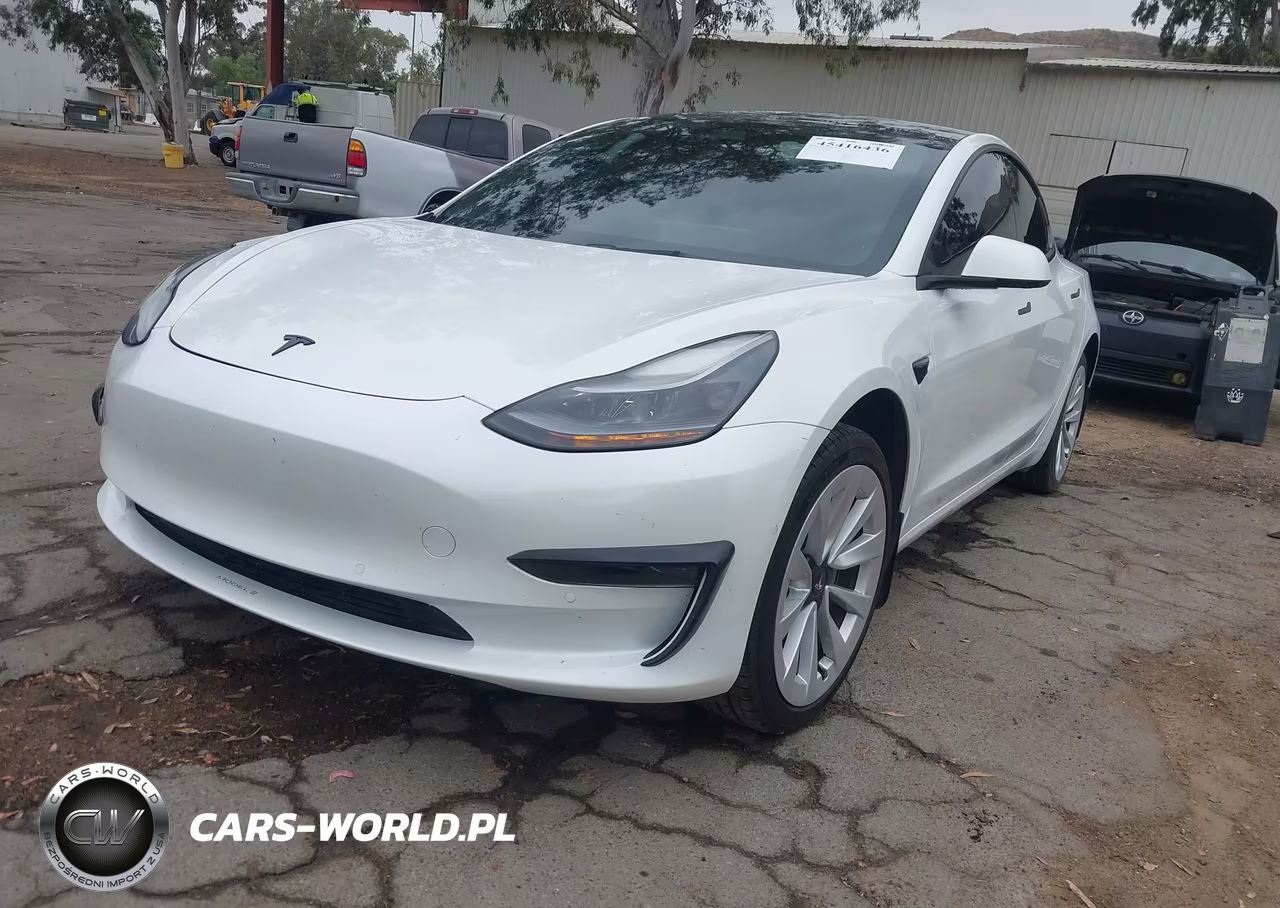 2021 Tesla Model 3 Standard Range Plus Rear-Wheel Drive VIN:5YJ3E1EA7MF099042 - 2