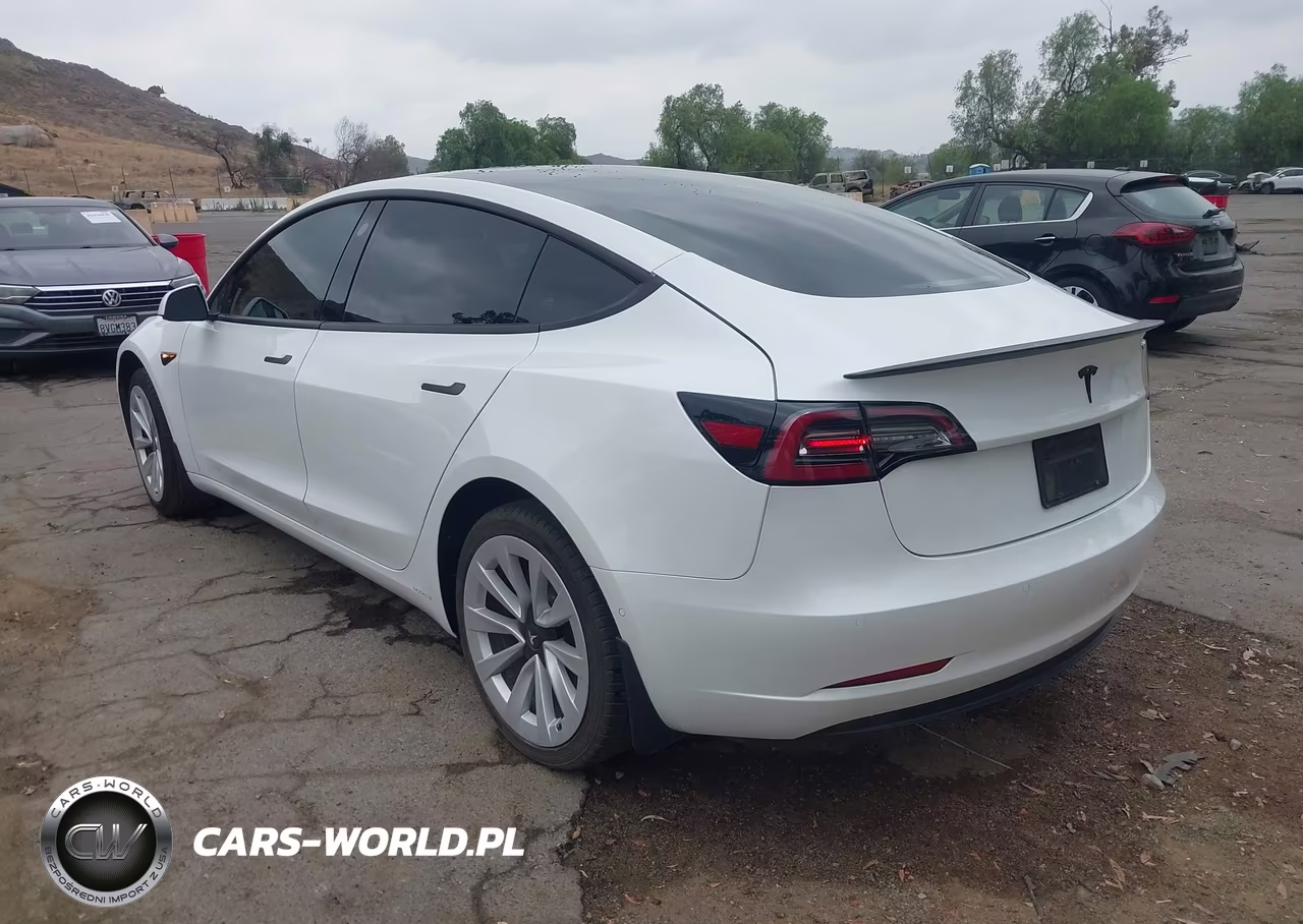 2021 Tesla Model 3 Standard Range Plus Rear-Wheel Drive VIN:5YJ3E1EA7MF099042 - 3