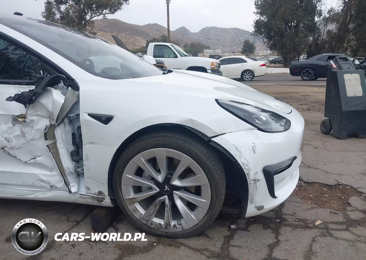 2021 Tesla Model 3 Standard Range Plus Rear-Wheel Drive VIN:5YJ3E1EA7MF099042 - 6