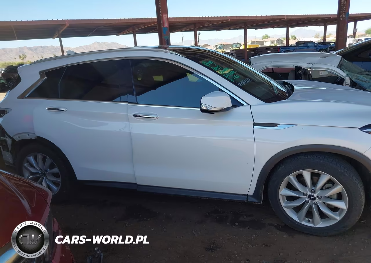 2019 Infiniti Qx50 Essential VIN:3PCAJ5M37KF101415 - 14