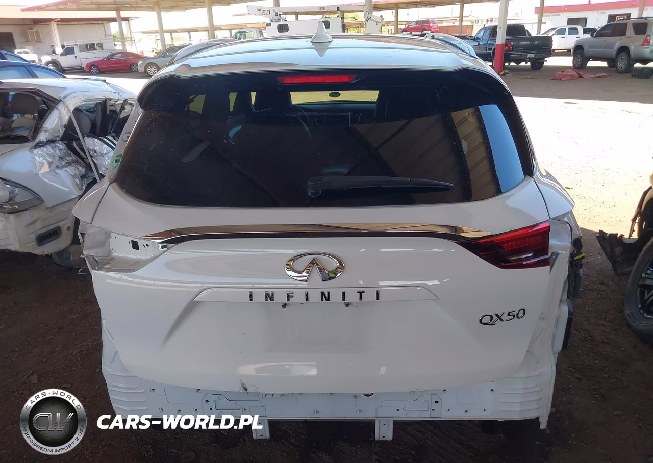 2019 Infiniti Qx50 Essential VIN:3PCAJ5M37KF101415 - 17