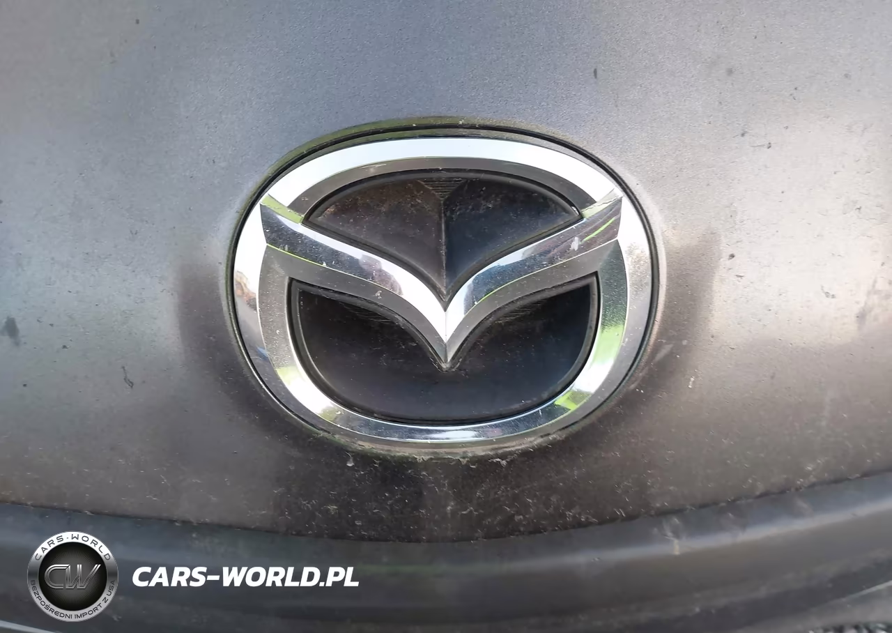MAZDA 3 I VIN:JM1BL1L73C1631287 - 14