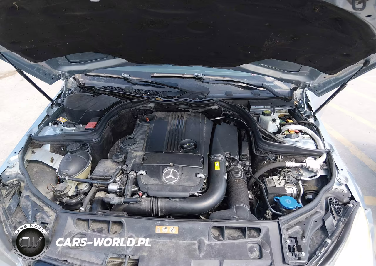 MERCEDES-BENZ C 250 VIN:WDDGJ4HB9DG030562 - 10