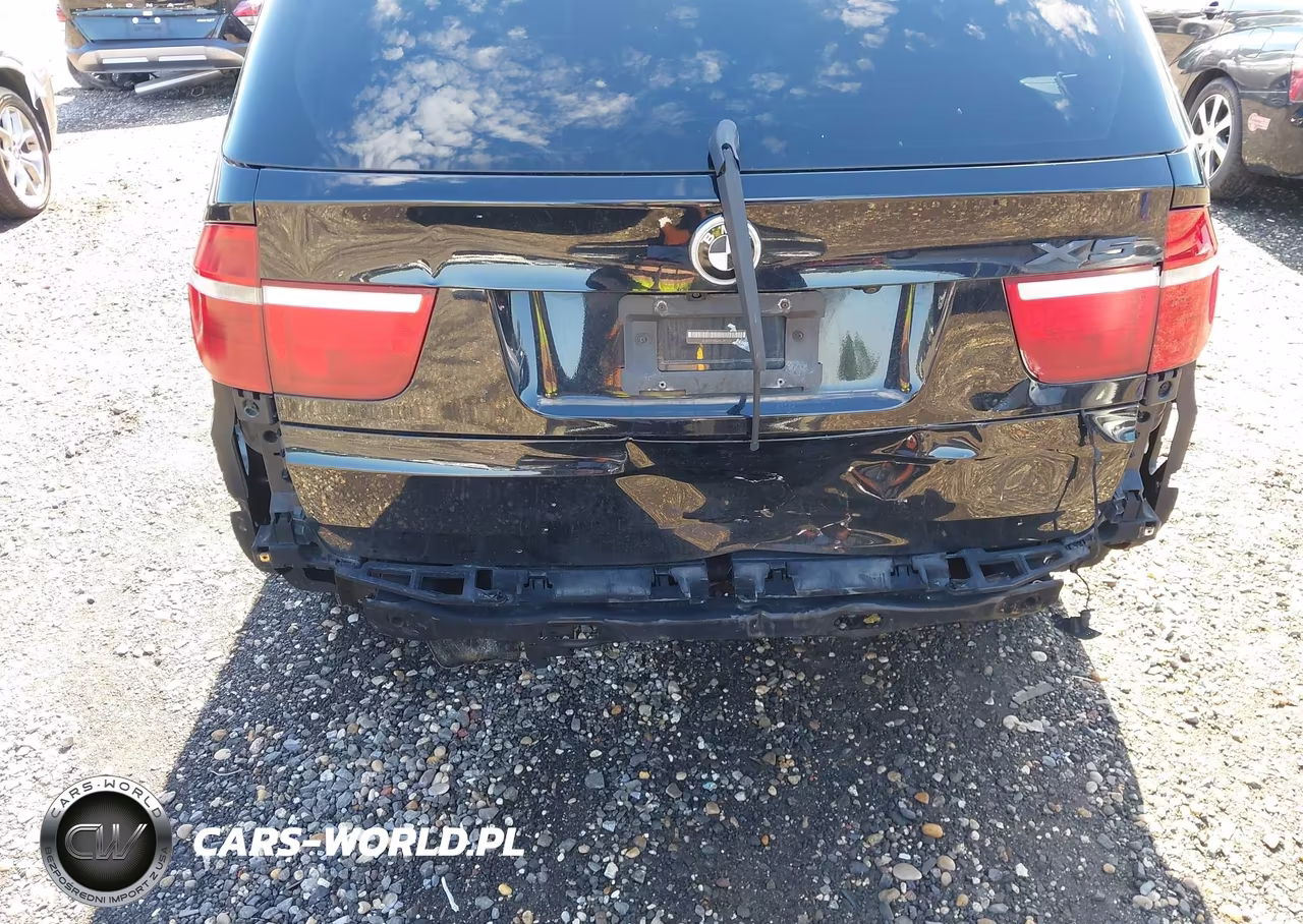 2009 BMW X5 xDrive35D VIN:5UXFF03569LJ97024 - 6