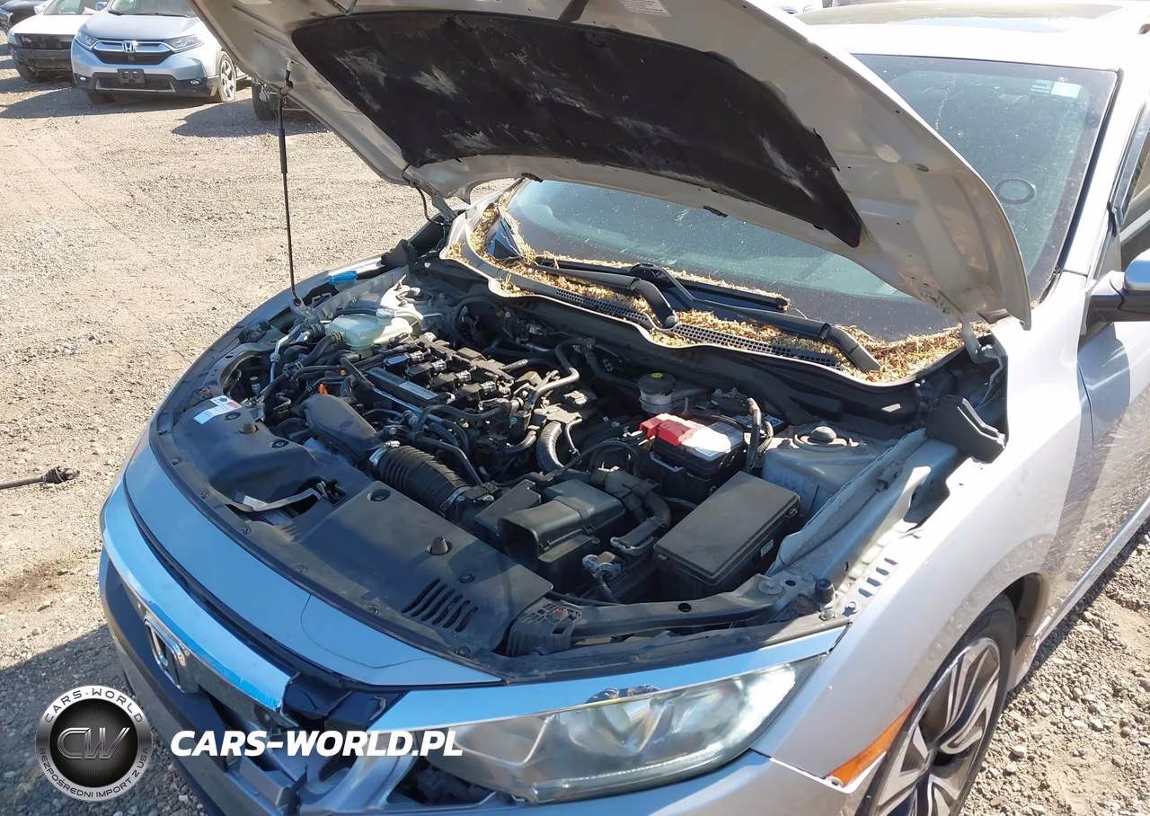2016 Honda Civic Ex-L VIN:2HGFC1F78GH647409 - 10