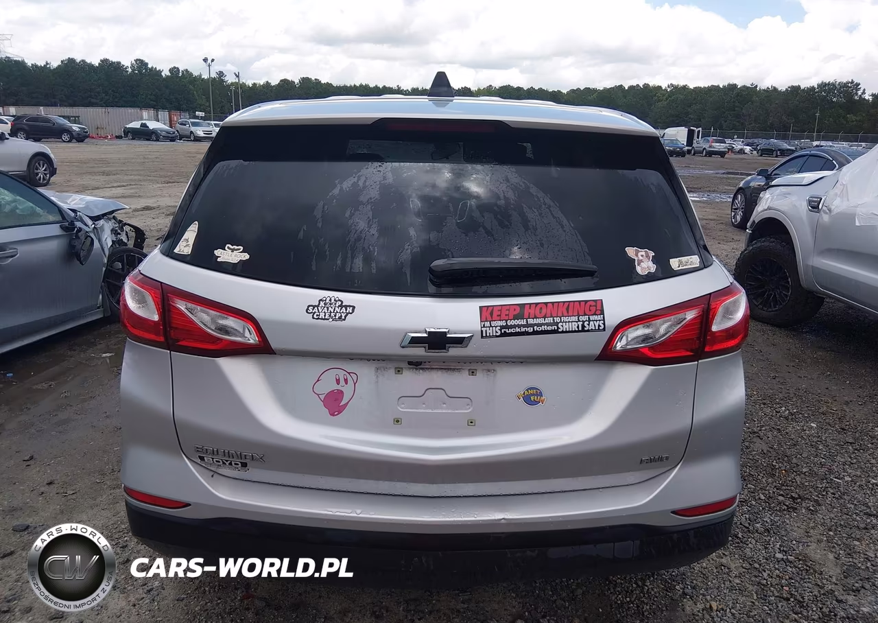 2019 Chevrolet Equinox Ls VIN:3GNAXSEV1KS551914 - 16