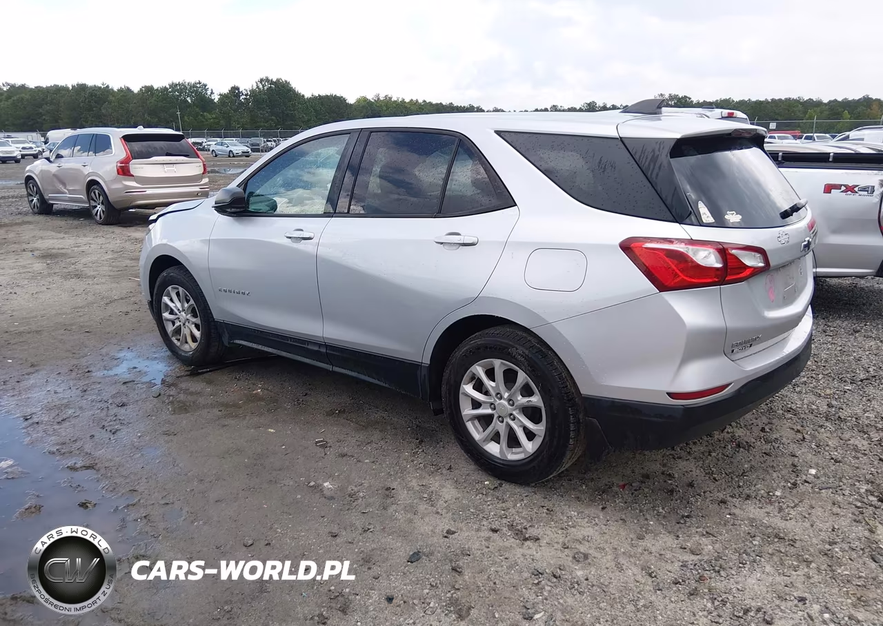 2019 Chevrolet Equinox Ls VIN:3GNAXSEV1KS551914 - 3
