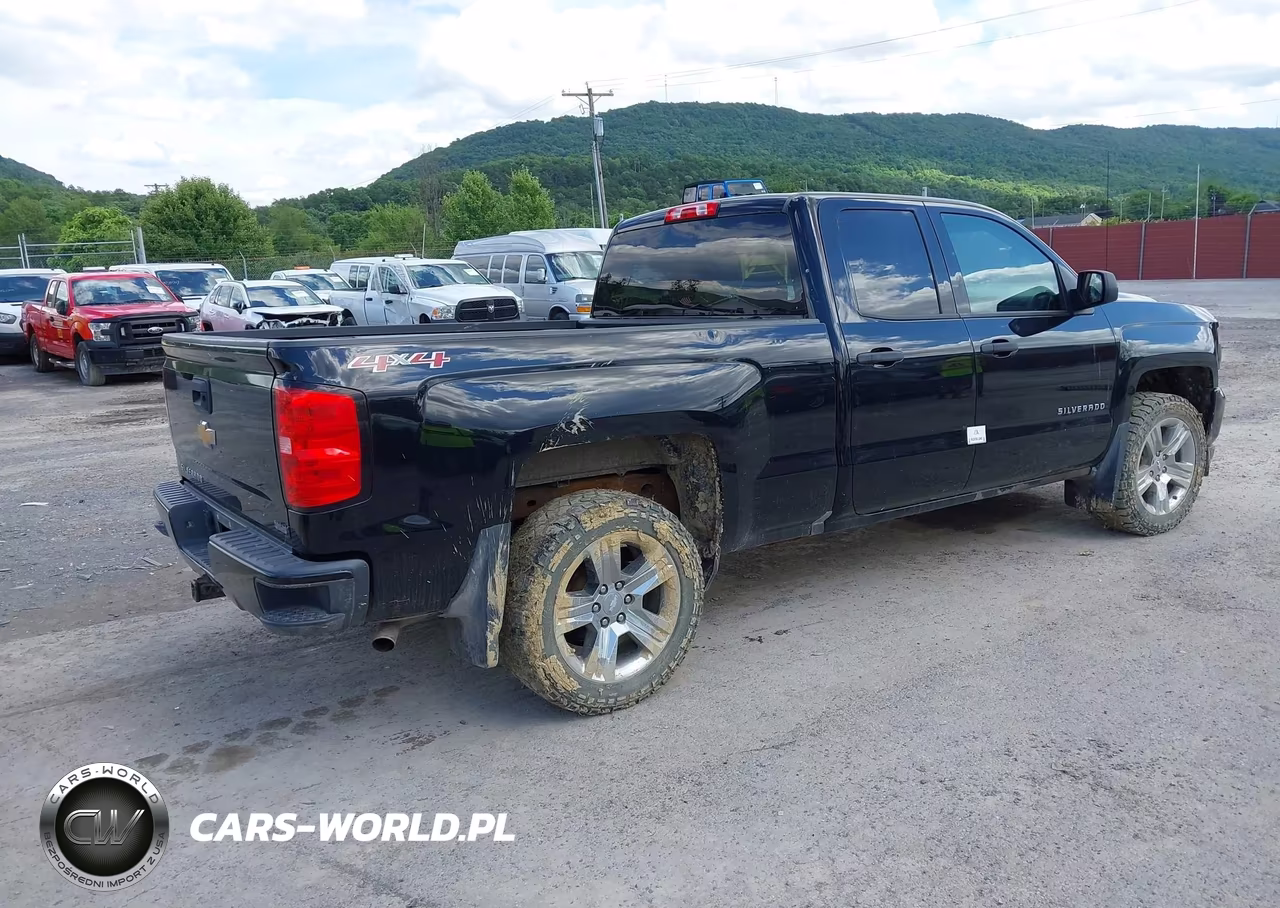 2017 Chevrolet Silverado 1500 Custom VIN:1GCVKPEC5HZ233052 - 4