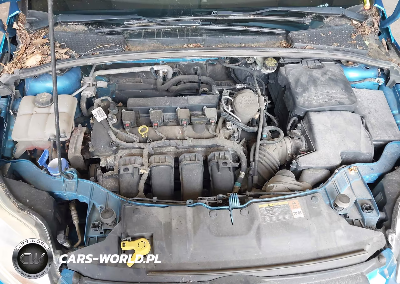 2014 Ford Focus Se VIN:1FADP3F26EL130870 - 10
