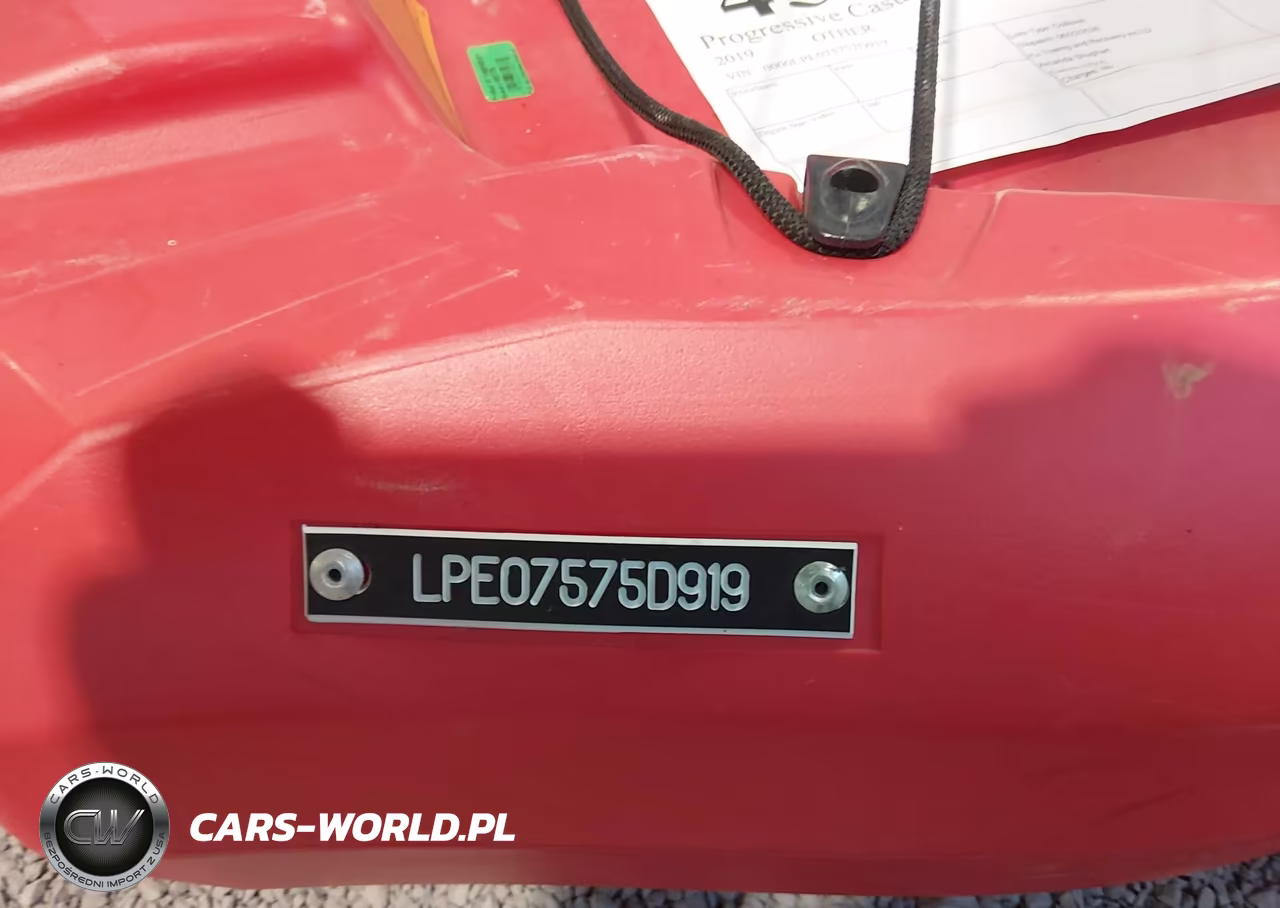 2019 Other Other VIN:00000LPE07575D919 - 9