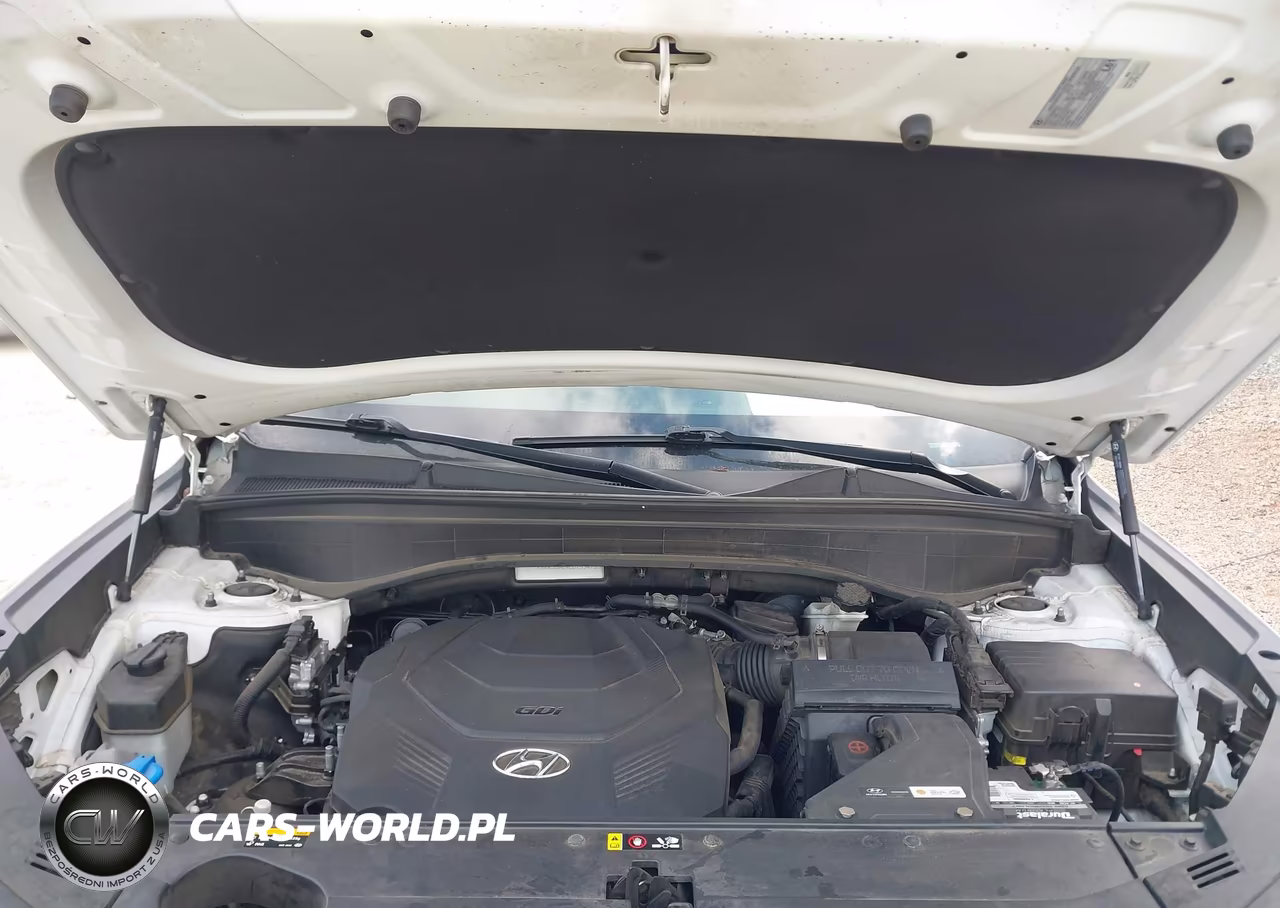 2020 Hyundai Palisade Limited VIN:KM8R5DHE4LU153473 - 10