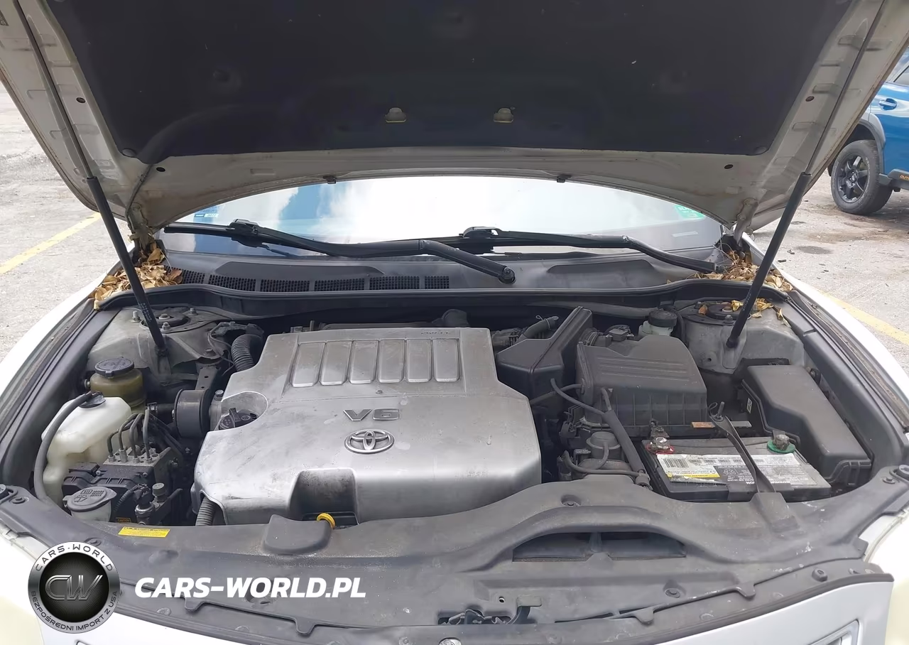 2010 Toyota Camry Xle V6 VIN:JTNBK3EK5A3046546 - 10
