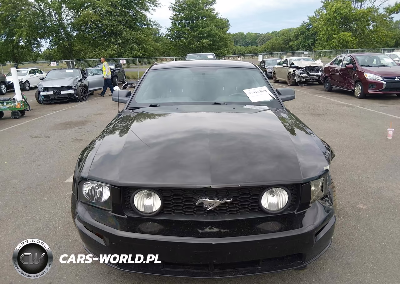 2006 Ford Mustang Gt VIN:1ZVFT82H465159325 - 12