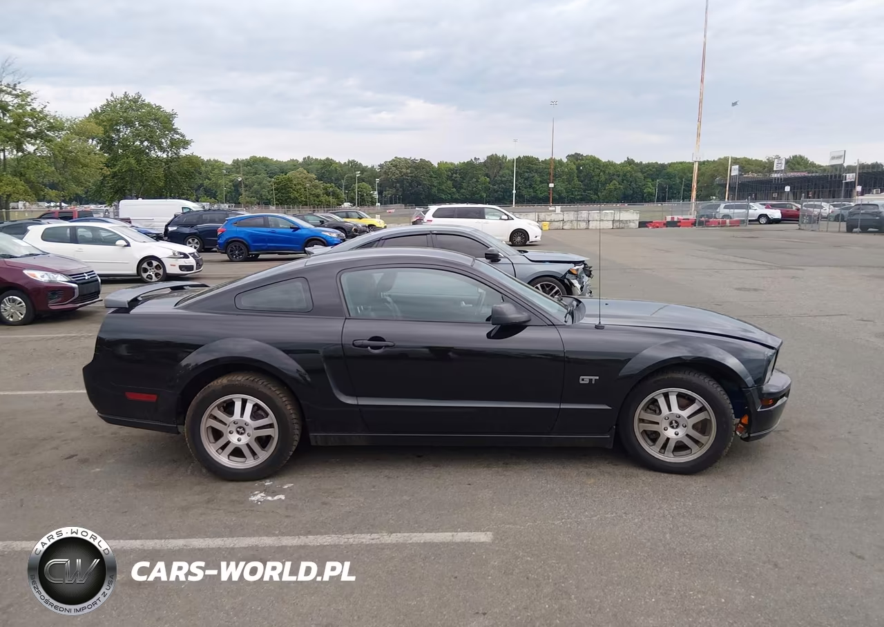 2006 Ford Mustang Gt VIN:1ZVFT82H465159325 - 13