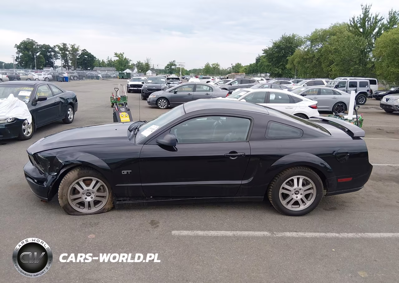 2006 Ford Mustang Gt VIN:1ZVFT82H465159325 - 14