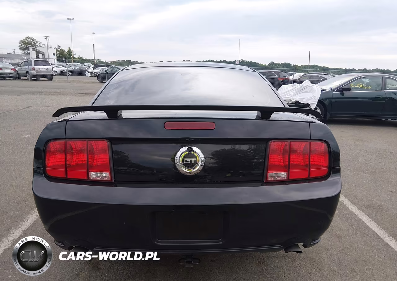 2006 Ford Mustang Gt VIN:1ZVFT82H465159325 - 16