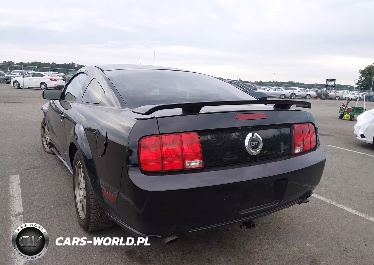 2006 Ford Mustang Gt VIN:1ZVFT82H465159325 - 3