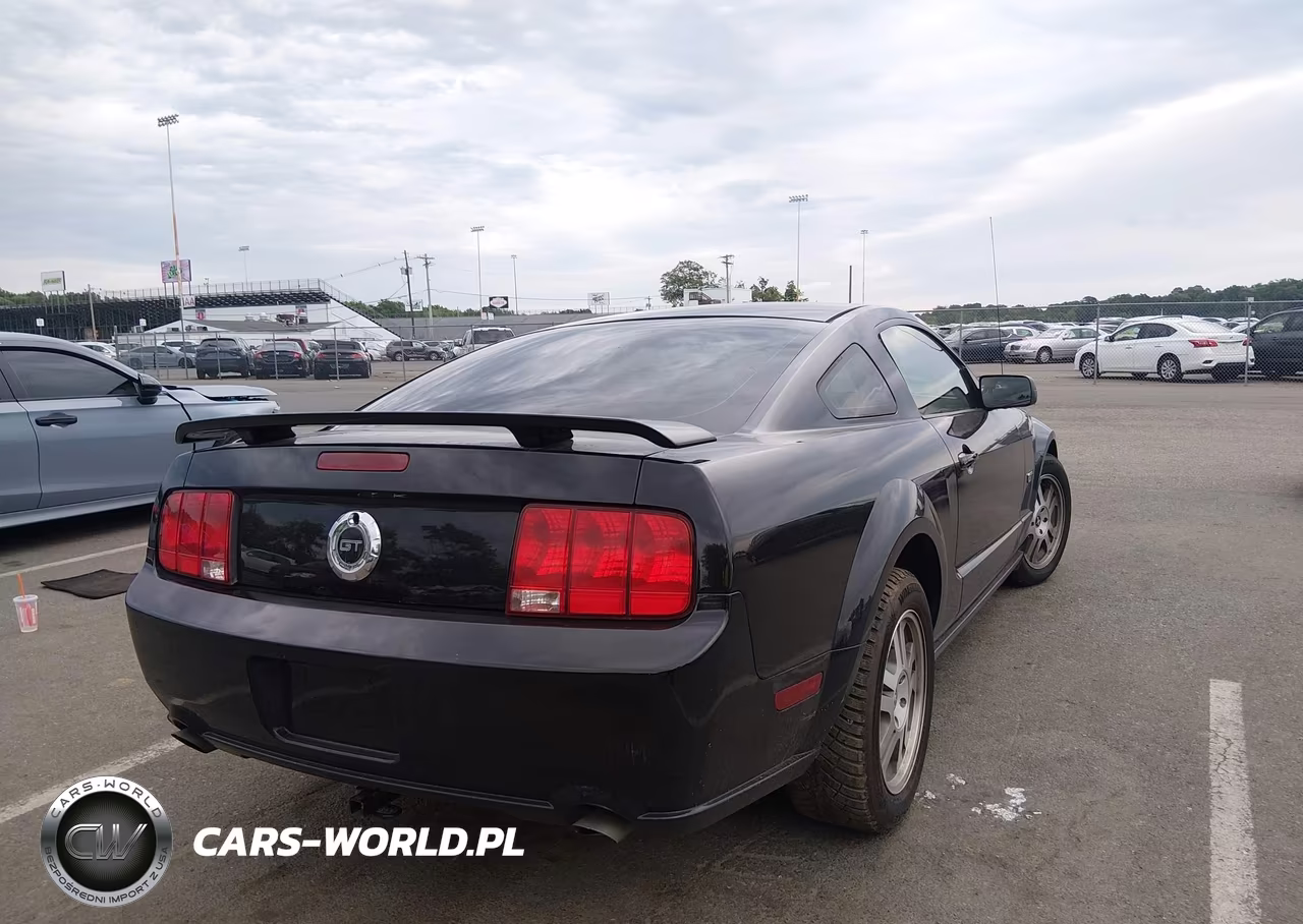 2006 Ford Mustang Gt VIN:1ZVFT82H465159325 - 4