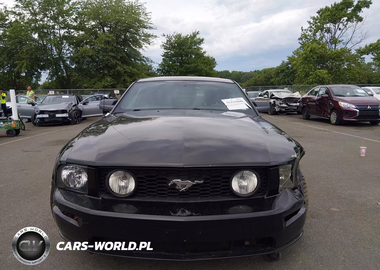 2006 Ford Mustang Gt VIN:1ZVFT82H465159325 - 6