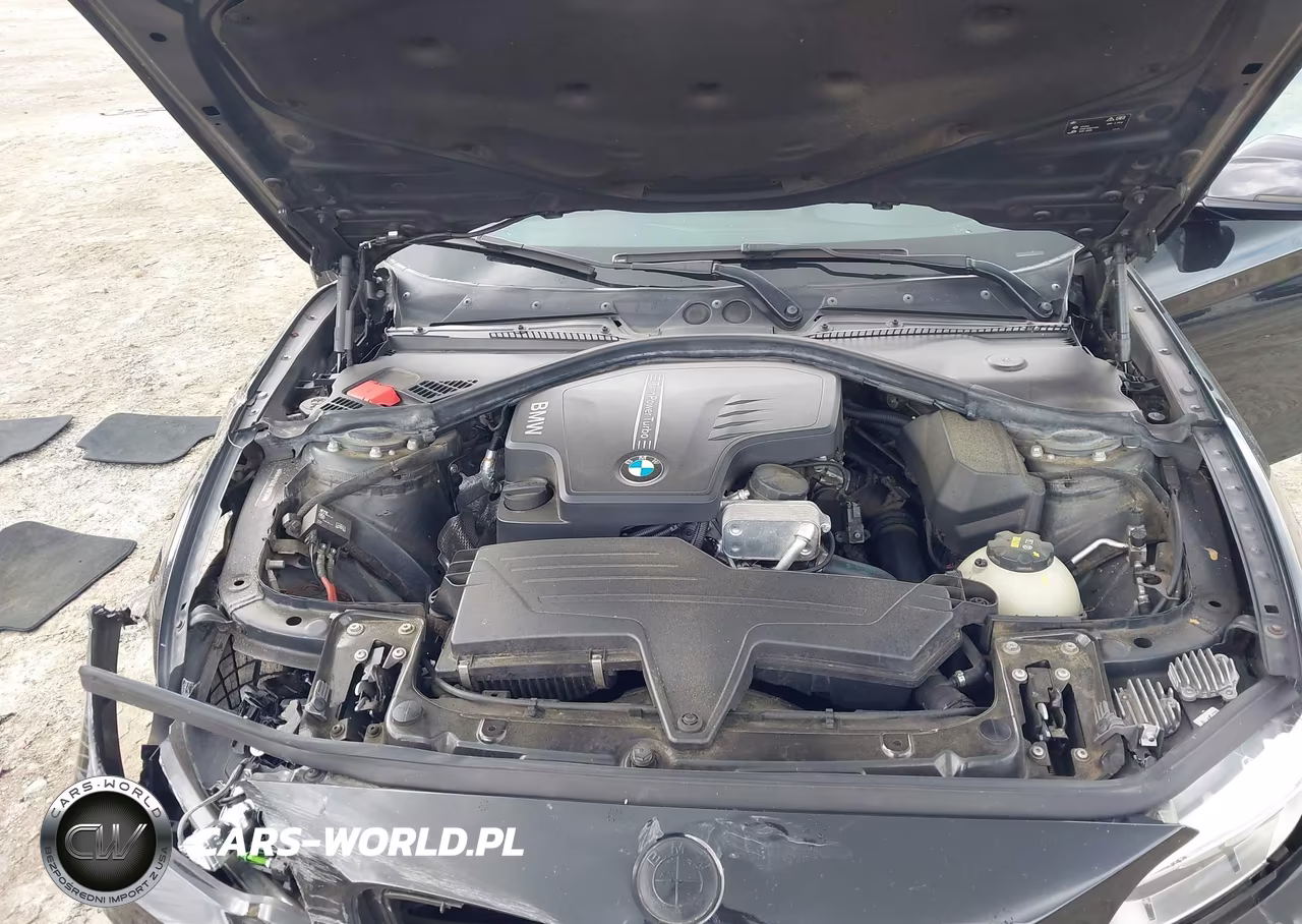 2015 BMW 228I VIN:WBA1F5C58FV257312 - 10