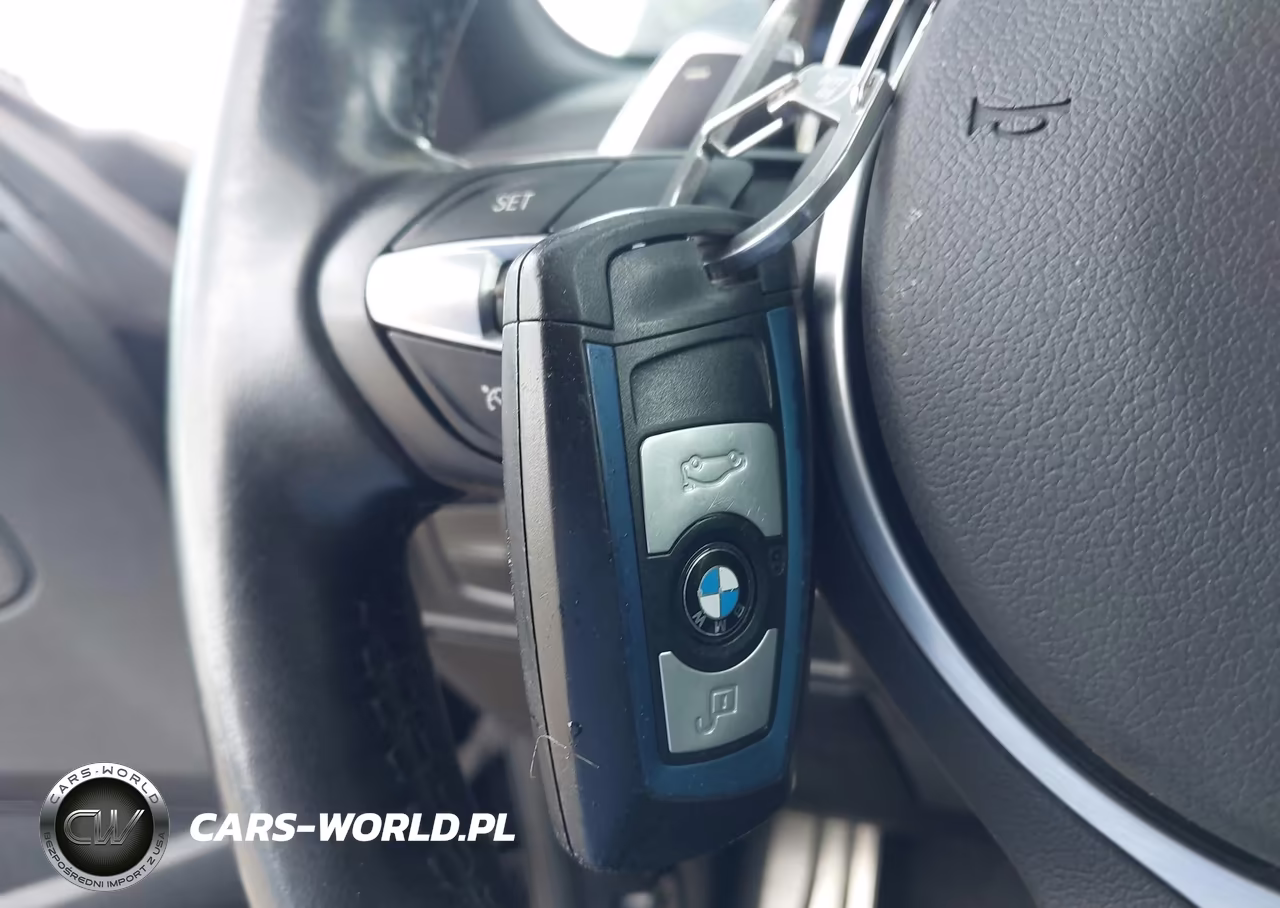 2015 BMW 228I VIN:WBA1F5C58FV257312 - 11