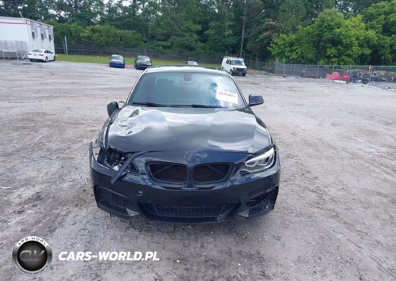 2015 BMW 228I VIN:WBA1F5C58FV257312 - 13