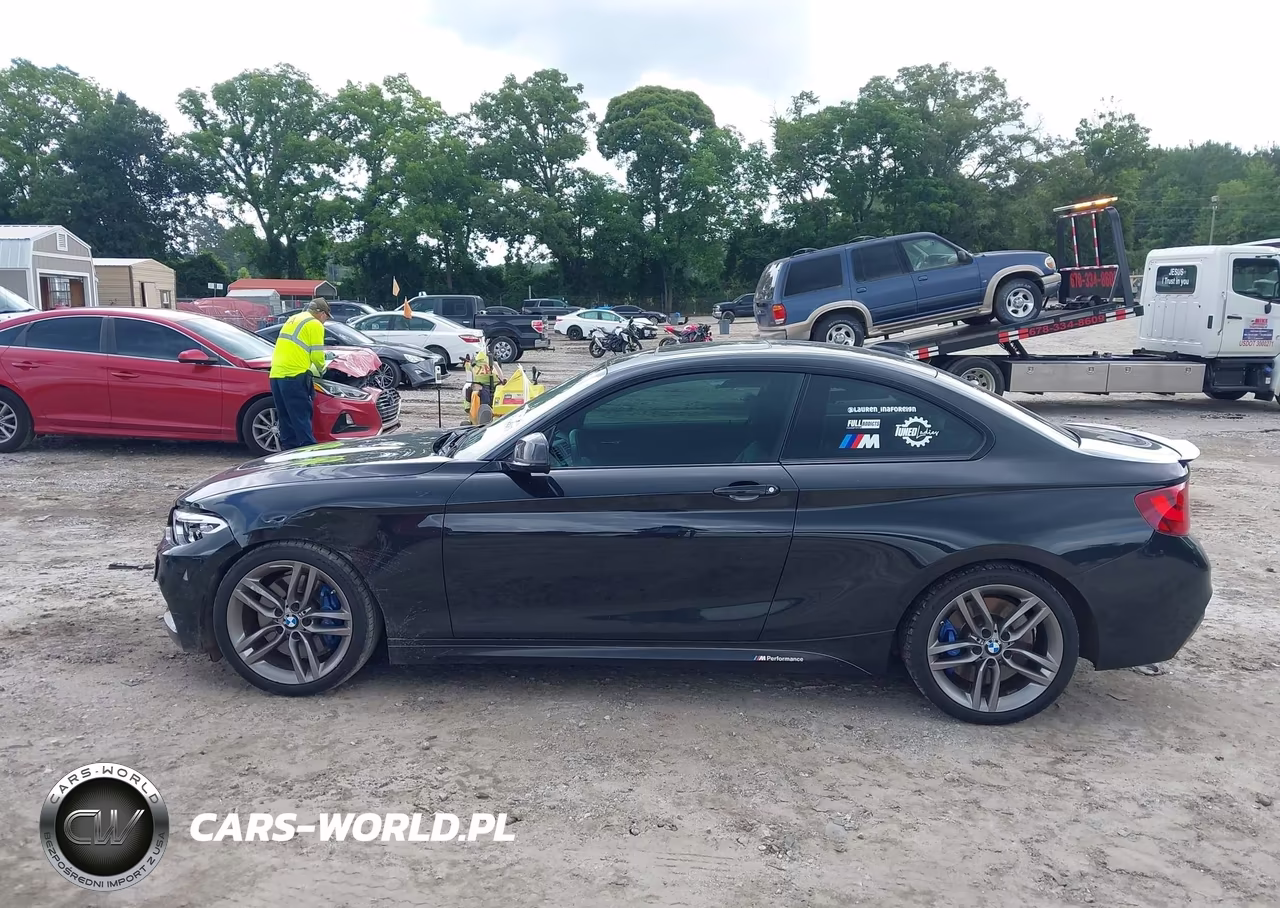 2015 BMW 228I VIN:WBA1F5C58FV257312 - 15