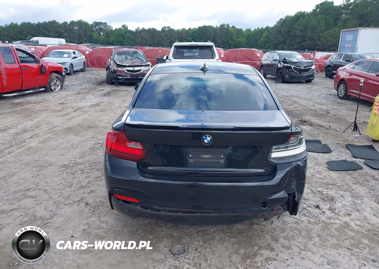 2015 BMW 228I VIN:WBA1F5C58FV257312 - 17