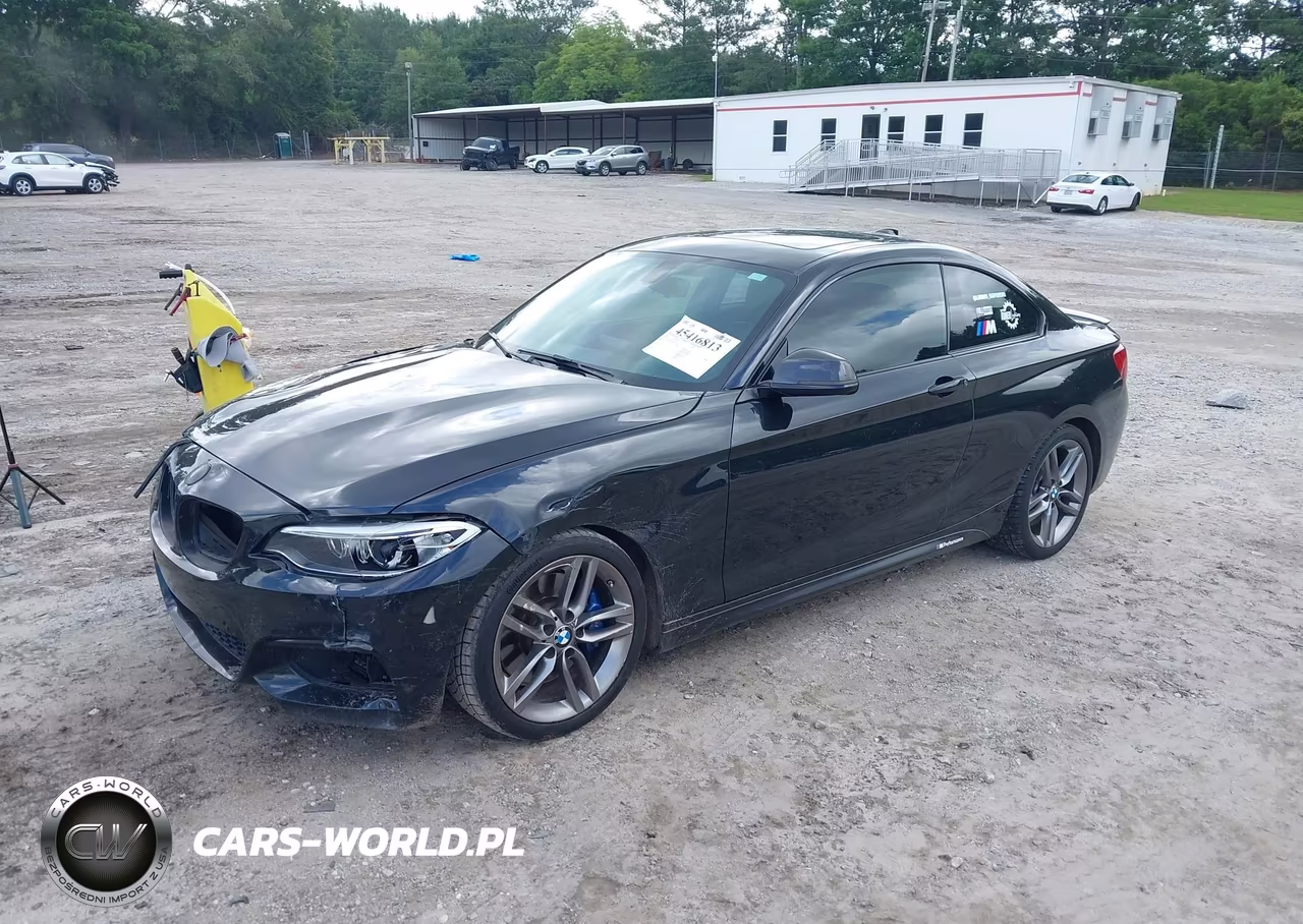 2015 BMW 228I VIN:WBA1F5C58FV257312 - 2