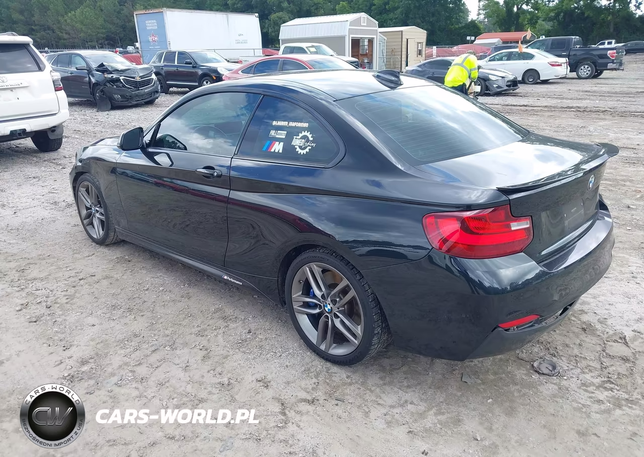 2015 BMW 228I VIN:WBA1F5C58FV257312 - 3
