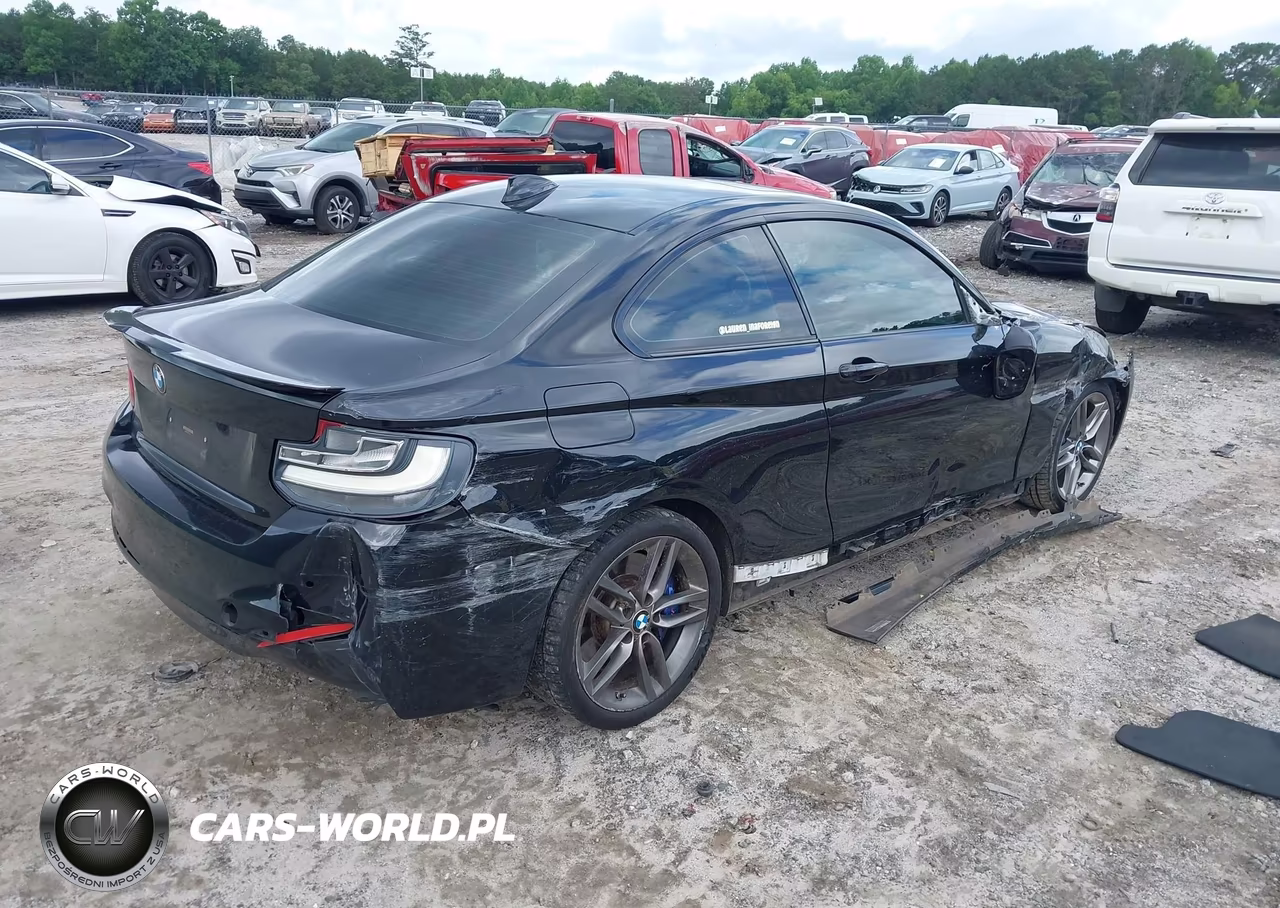 2015 BMW 228I VIN:WBA1F5C58FV257312 - 4