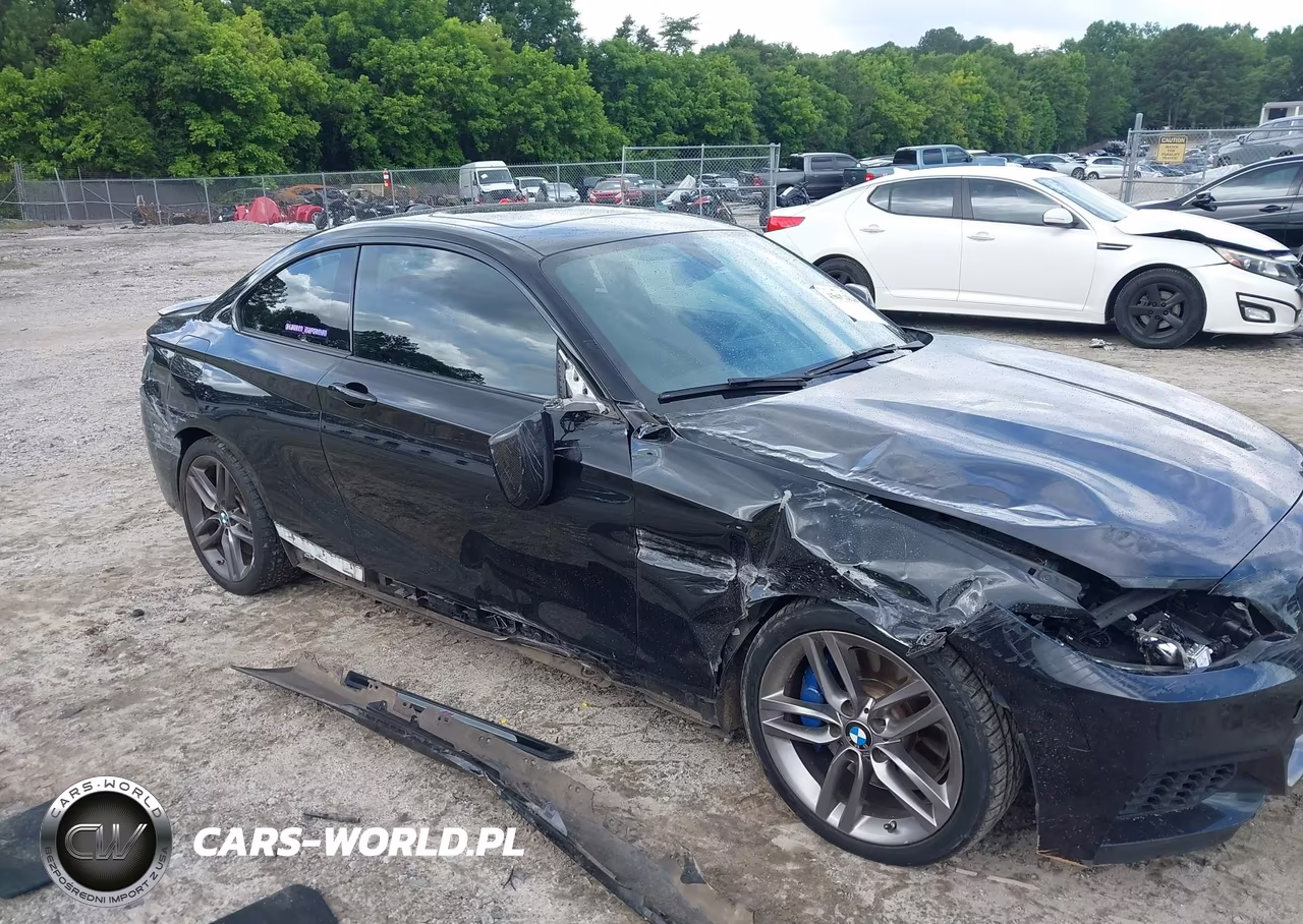 2015 BMW 228I VIN:WBA1F5C58FV257312 - 6