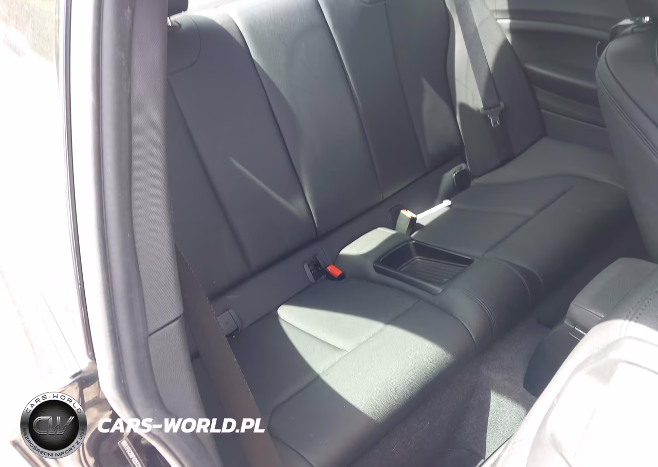 2015 BMW 228I VIN:WBA1F5C58FV257312 - 8