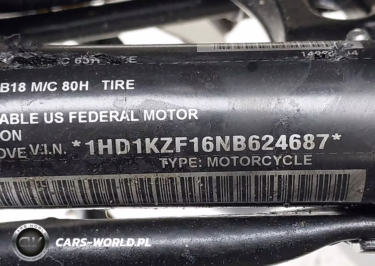 2022 Harley-Davidson Fltrk VIN:1HD1KZF16NB624687 - 10