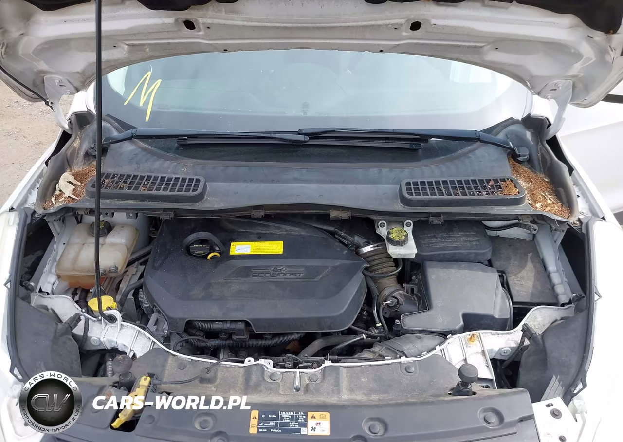 2015 Ford Escape Se VIN:1FMCU9GX6FUB45033 - 10