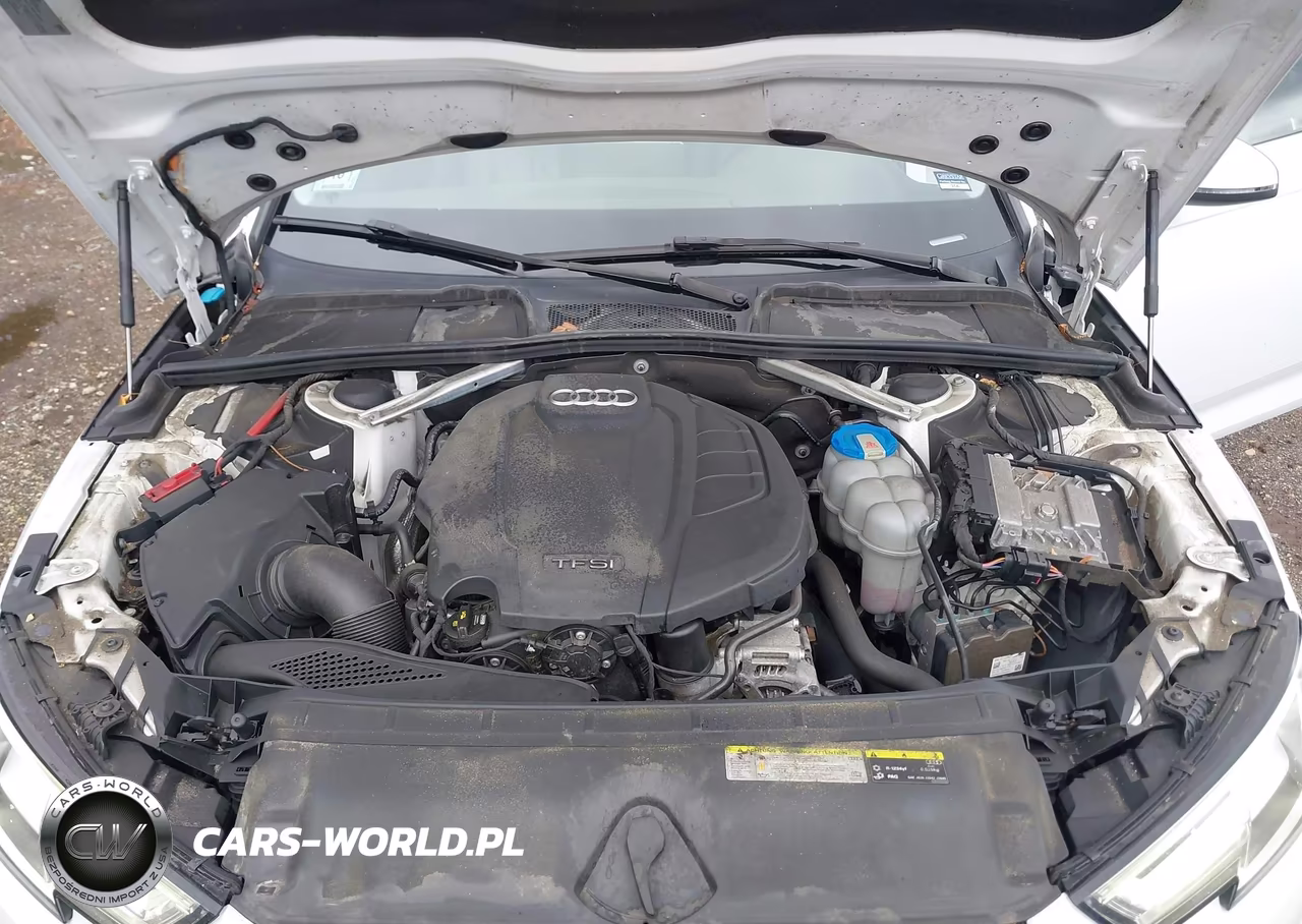 2019 Audi A4 45 Premium VIN:WAUENAF41KN002804 - 10