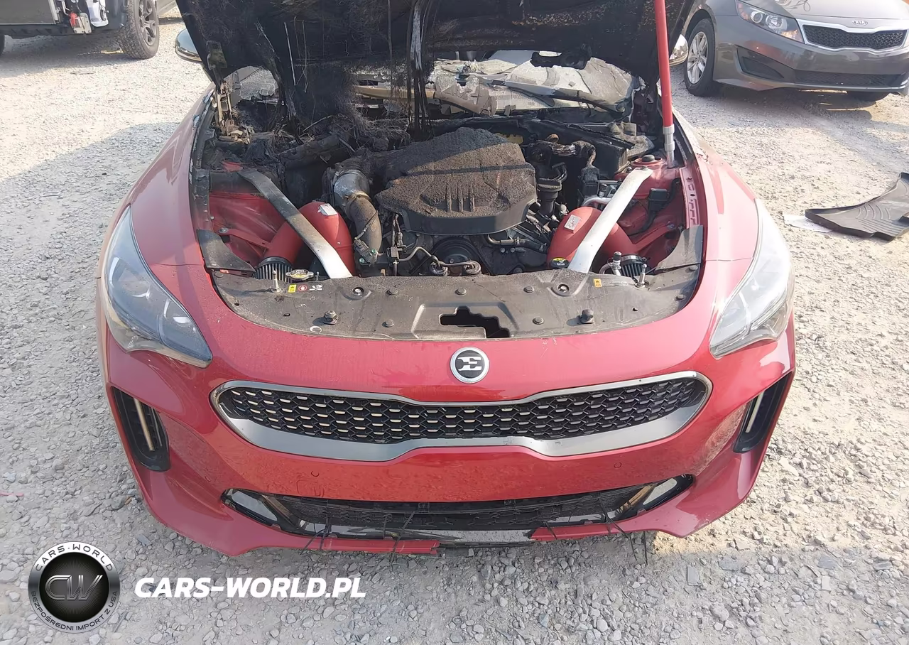 2019 Kia Stinger Gt VIN:KNAE35LC3K6051621 - 10