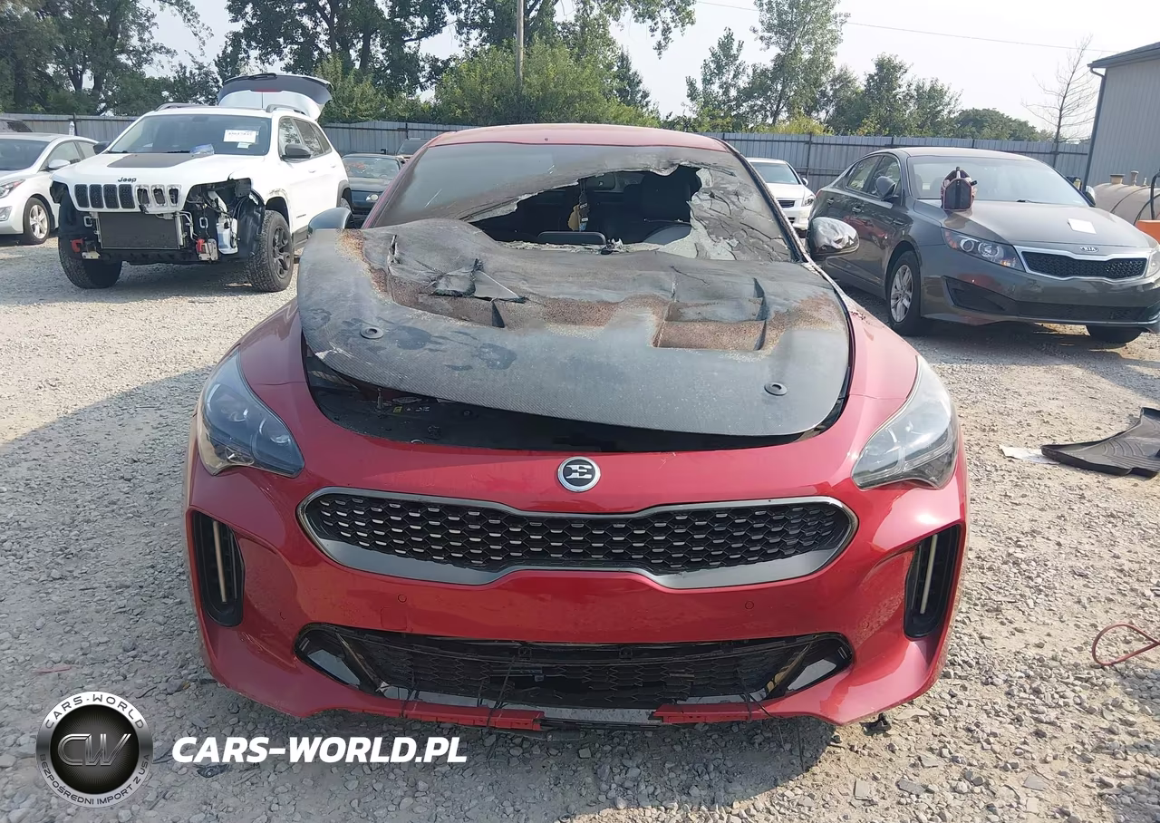2019 Kia Stinger Gt VIN:KNAE35LC3K6051621 - 6