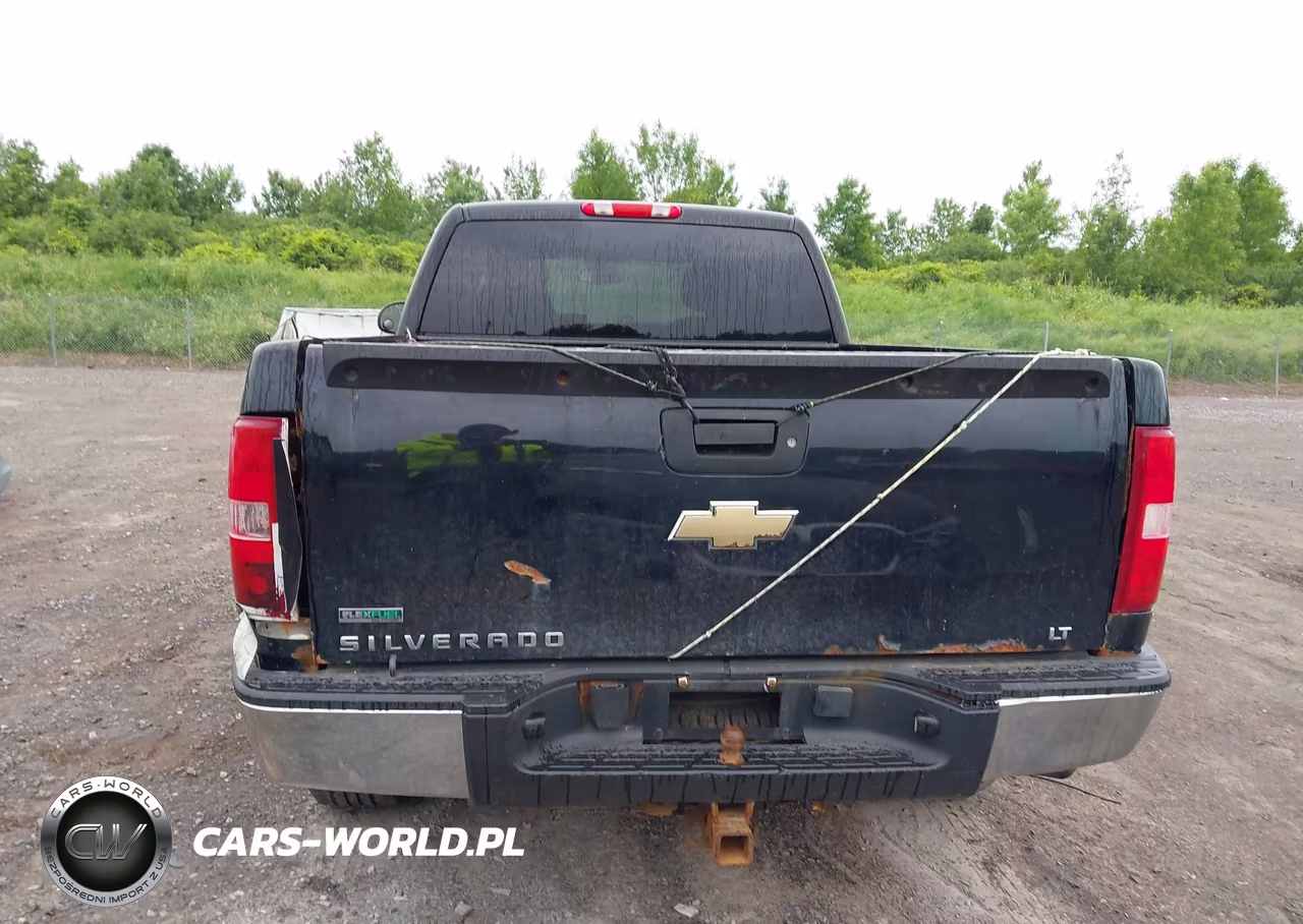 2010 Chevrolet Silverado 1500 Lt VIN:1GCSKSE3XAZ282792 - 16