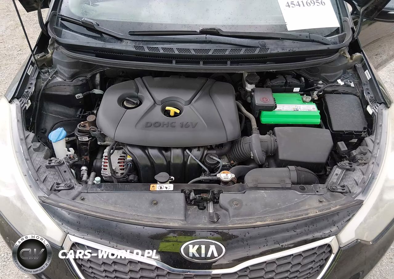 2014 Kia Forte Lx VIN:KNAFX4A68E5227525 - 10