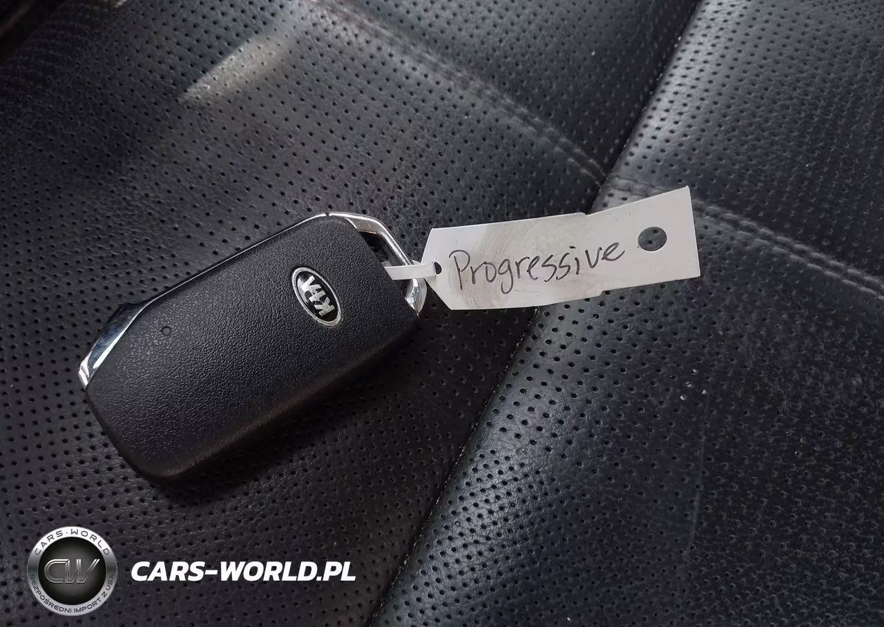 2020 Kia Telluride Ex VIN:5XYP34HCXLG024557 - 11