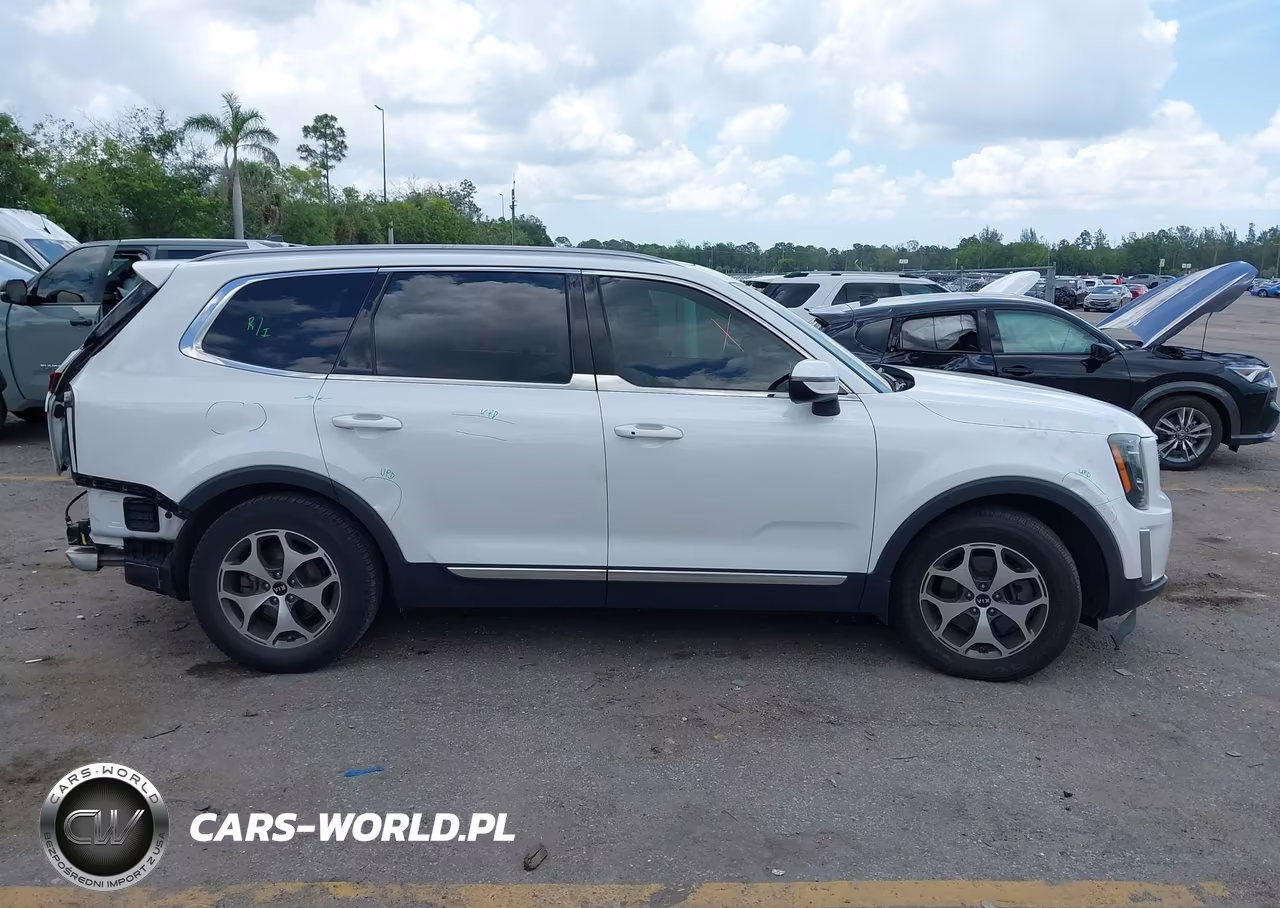 2020 Kia Telluride Ex VIN:5XYP34HCXLG024557 - 14