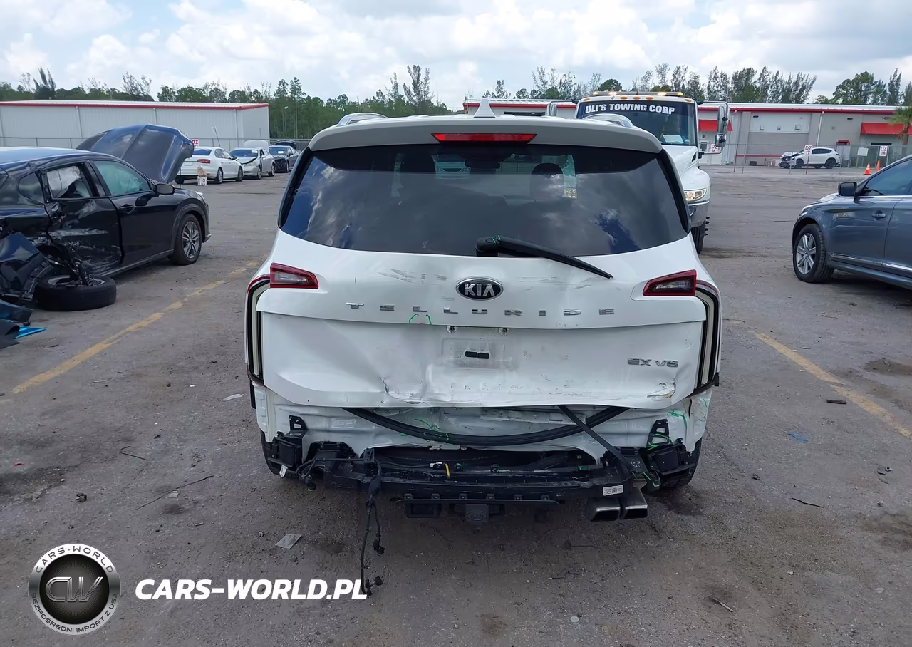 2020 Kia Telluride Ex VIN:5XYP34HCXLG024557 - 17