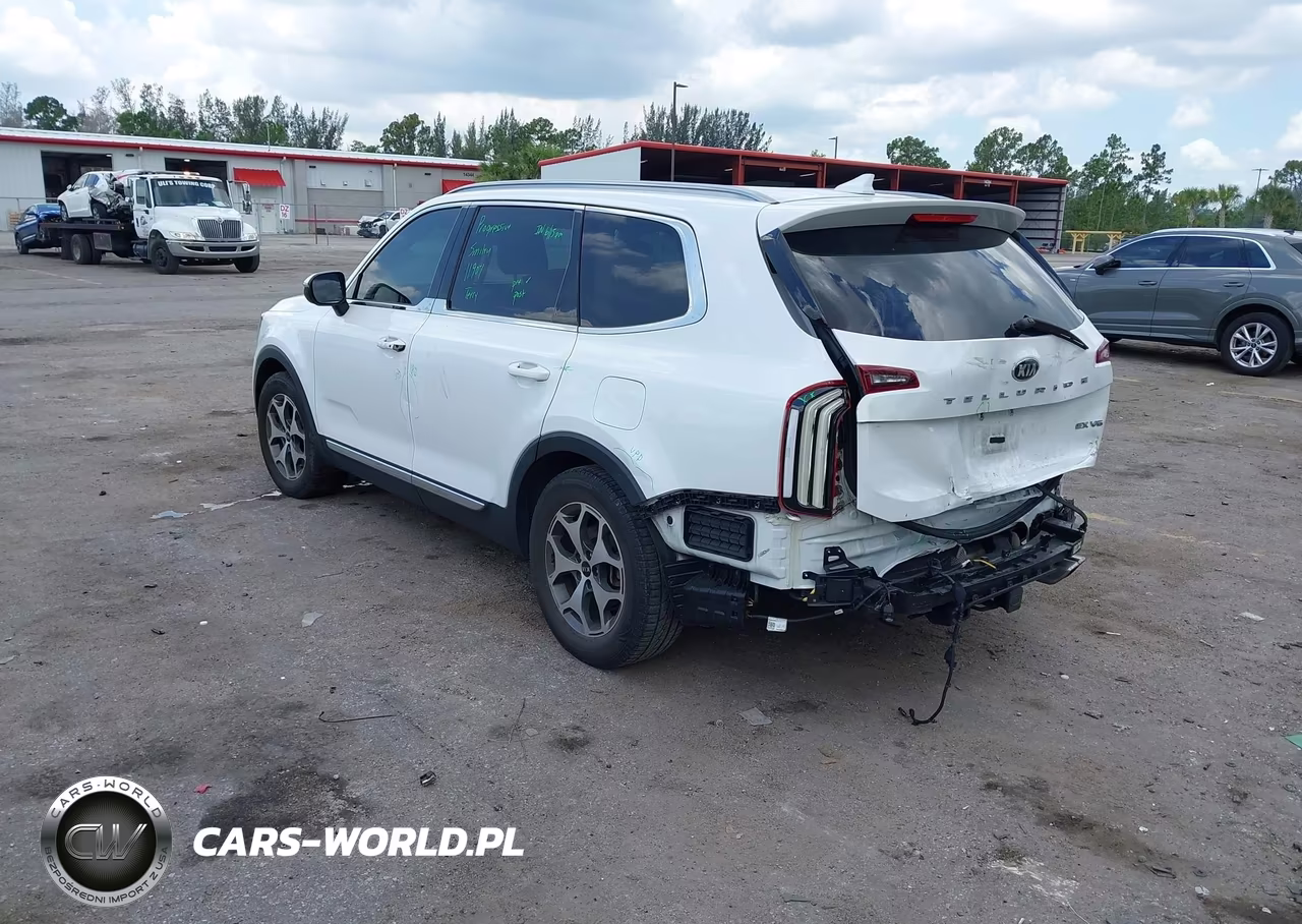 2020 Kia Telluride Ex VIN:5XYP34HCXLG024557 - 3