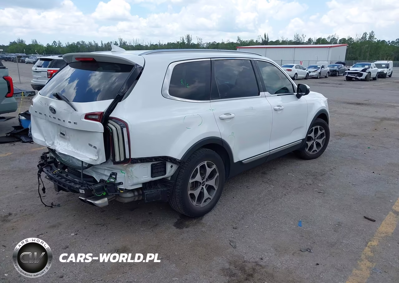 2020 Kia Telluride Ex VIN:5XYP34HCXLG024557 - 4